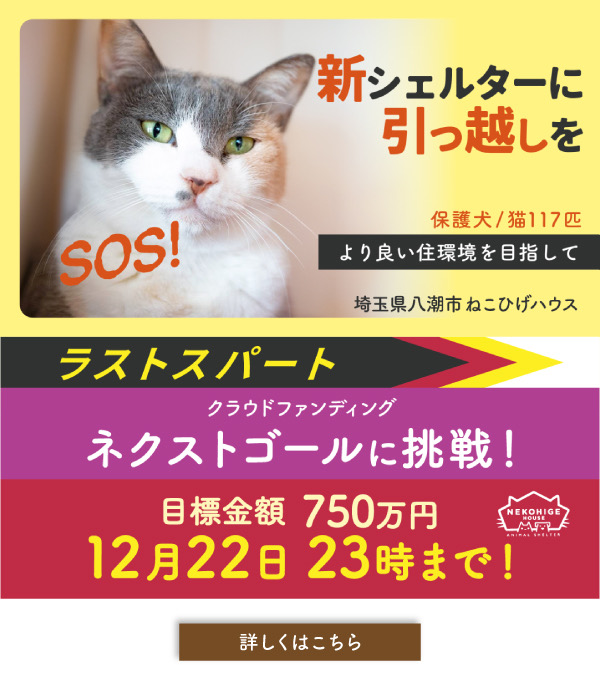 クラウドファンディング2023